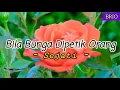 SEJATI - Bila Bunga Dipetik Orang (lirik)