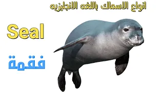 أسماء أسماك البحر بالإنجليزي                                 تعلم اللغة الانجليزية دندنها