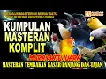 Download Lagu MASTERAN MURAI BATU FAVORIT  | kumpulan paket komplit pagi siang sore malam | AMPUH