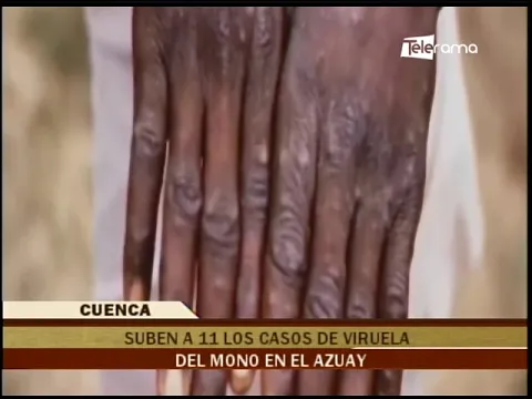 Cuenca al Día 24-08-2022