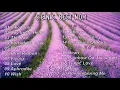 Download Lagu S.E.N.S(SENS) Best no.1