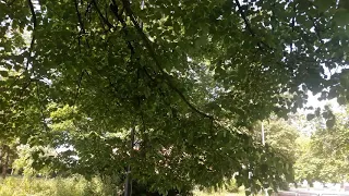 فصول الحياة 