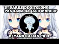 Download Lagu DJ DARKSIDE x TOLONG PANGANA BA JAUH MASHUP OLD VIRAL TIK TOK 2022