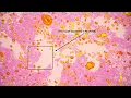 Soccer Mommy - Shotgun (slowed + reverb)