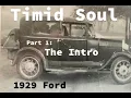 Timid Soul PART 1