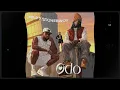 Mr. P X Stonebwoy - ODO Remix Instrumental