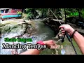Download Lagu Share Rahsia Umpan Mancing Tengas Ada Dugaan Masa Mancing