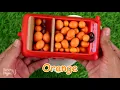 Magic Candy w/ Nursery Rhymes Old Macdonald Had a Farm