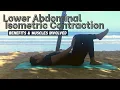 How To Lower Abdominal Isometric Contraction Benefits and Muscles Used Abdominal and Hip Exc