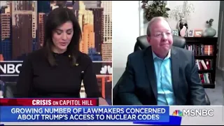 MSNBC Lindsey Reiser VETERAN CEO STATE LAWMAKER INVOLVED IN RIOT January 10 2020