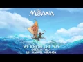 [Vietsub] We Know The Way - Lin Manuel Miranda, Opetaia Foa'i  (Disney "Moana" OST)