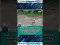 Download Lagu Kepala ular masuk ke dalam kaleng