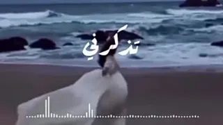 اغنية روسية تذكرني Bспоминай Меня حالات واتس 