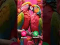 Download Lagu #ringtone #smartphone #ringtones #music