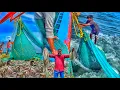 Download Lagu Amazing 🤩 6th Day deep sea fishing | we caught Lot of RockFish,cuttlefish 🦑| Hard work Of The Day