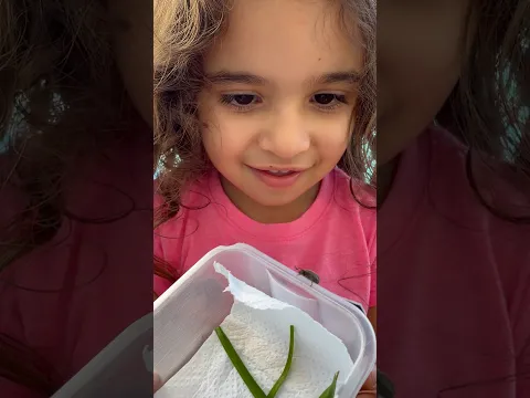 BELLA PEGOU UM BESOURO #amigodosbrinquedos
