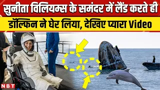 Sunita Williams Return: सुनीता विलियम्स को Dolphin ने घेरा ! समुद्र स्पेसक्राफ्ट का स्वागत! VIDEO