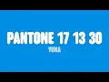 Download Lagu Yuna - Pantone 17 13 30 (Lyrics)