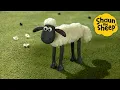 Lagu 🚜😲 Something Surprising Happens on the Farm! 🐑 Shaun the Sheep 🐑 Full Episodes Compilation [1 hour]