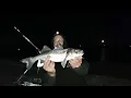 Sea Fishing live talk show