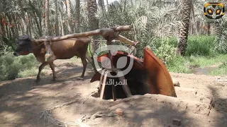 الساقية الزراعية خلال جولة من داخل الريف المصرى الأصيل 