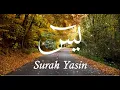 Download Lagu SURAH YASIN | (The heart of the Quran) | Mishary Rashid Alafasy
