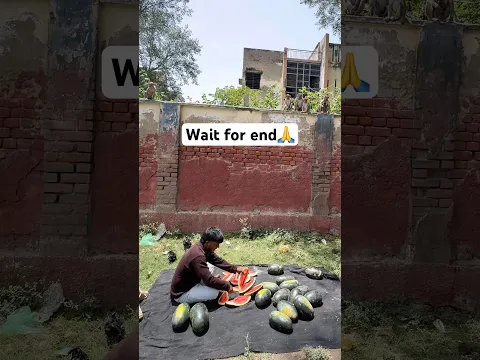Help animal 🙏🙏