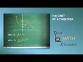 Near vs At The Limit Concept That Breaks Math Open Intro
