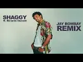 Shaggy ft. Ricardo Ducent - It Wasn't Me (Jay Bombay Remix)