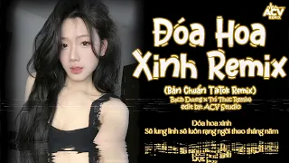 Đóa Hoa Xinh Remix (Ver Hot TokTik) | Bạch Dương x Trí Thức Remix - Đóa Hoa Xinh Sẽ Lung Linh Remix