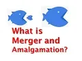 Mergers and Amalgamations of Companies