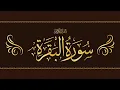 Fast Recitation of Surah Al Baqarah by Shaikh Mishary Rashid Alafasy (Without Ads)