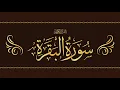 Download Lagu Fast Recitation of Surah Al Baqarah by Shaikh Mishary Rashid Alafasy (Without Ads)