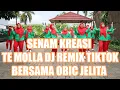 Download Lagu Senam TE MOLLA Dj Remix Viral Bersama Obic Jelita