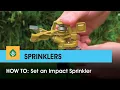 How To Set an Impact Sprinkler