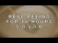 Download Lagu Peeing Sound for TEN HOURS | Sound to Make You Pee | High Quality Recording