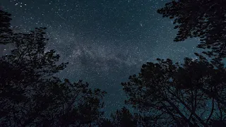 قصص نايف حمدان قصة المقداد الكندي 