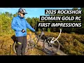 Knock Knock Who s There It s 2025 Rockshox Domain Gold RC