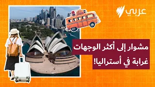 مشوار إلى لايتنينغ ريدج  مدينة تحت الأرض بحث ا عن حجر يغي ر الحياة دندنها