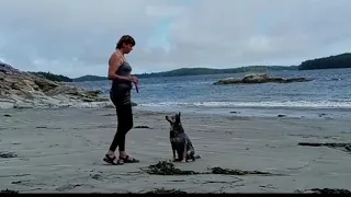 Electric propulsion & Lithium batteries – Sailing Oka Solo