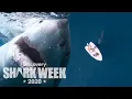 Huge Shark Smacks a Tiny Boat Shark Week