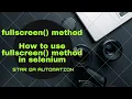 Full screen in selenium - fullscreen method