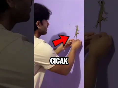 Pria Ini Pasang Kamera di Cicak... Hasilnya Bikin Kaget! 😱 | #shortvideo