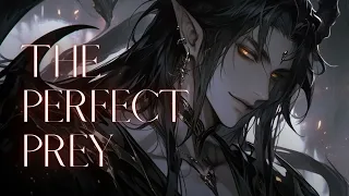 The Perfect Prey Cursed Wonderland Dark Fantasy 
