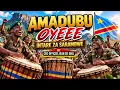 Amadubu & Intare za Sarambwe  by CEO OFFICER Jean De Dieu