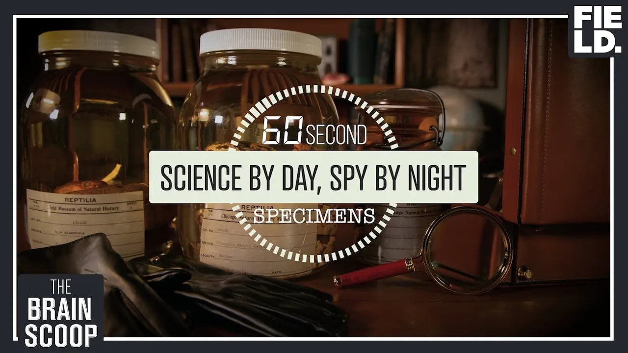 Science by Day - Spy by Night [60 Second Specimens]