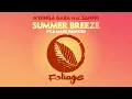 Download Lagu N’Dinga Gaba feat. Sahffi – Summer Breeze (Fka Mash Re-glitch)