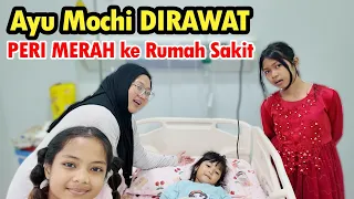 PERI MERAH JENGUK AYU DIRAWAT⁉️