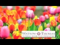 Watson Thomas Funeral Home and Crematory