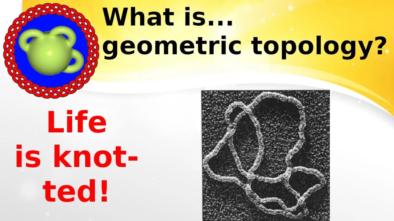 What are...knots and DNA?
